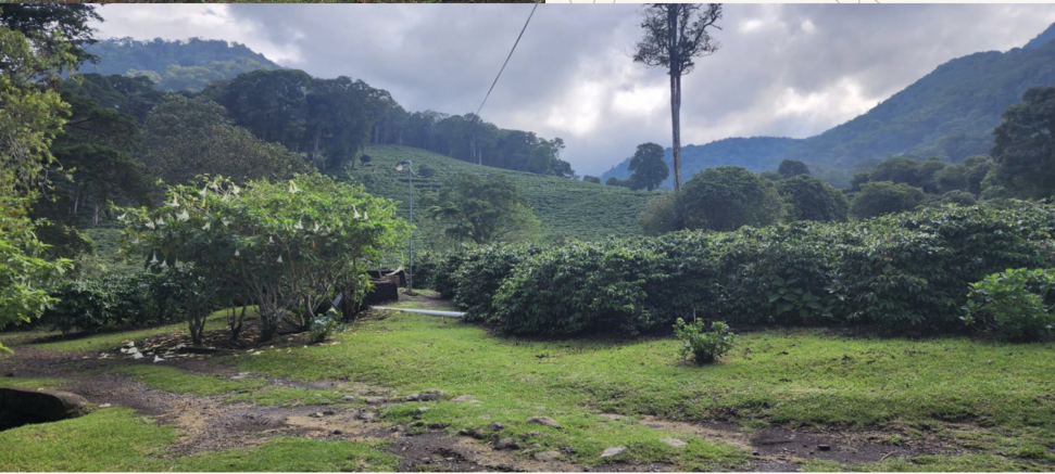 Bajo Boquete, Provincia de Chiriquí, Panamá Boquete Chiriquí Province