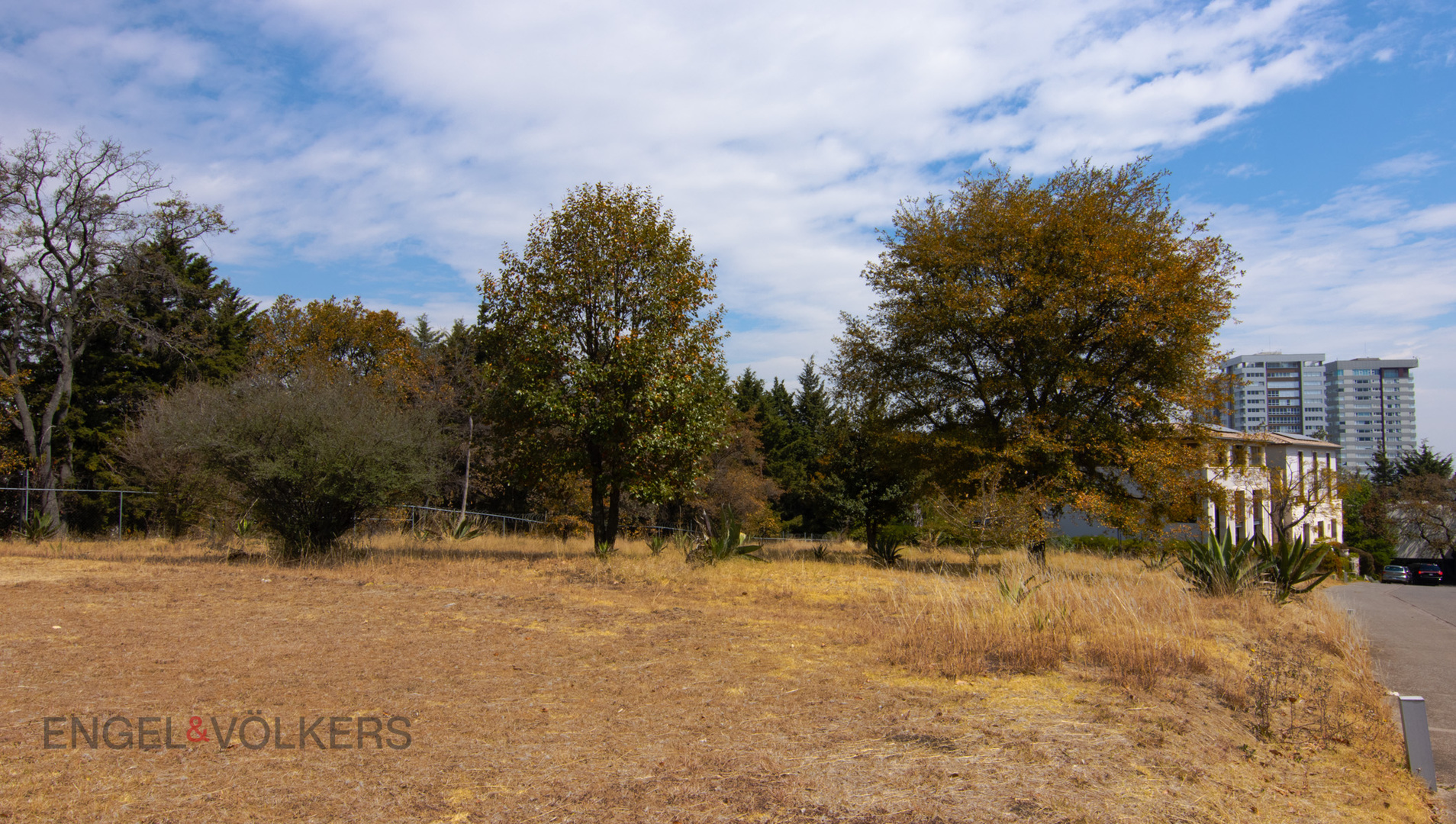 Centenario - Bosques de Tarango, San Mateo, Álvaro Obregón, 01580 Ciudad de México, CDMX, México Mexico City Mexico City