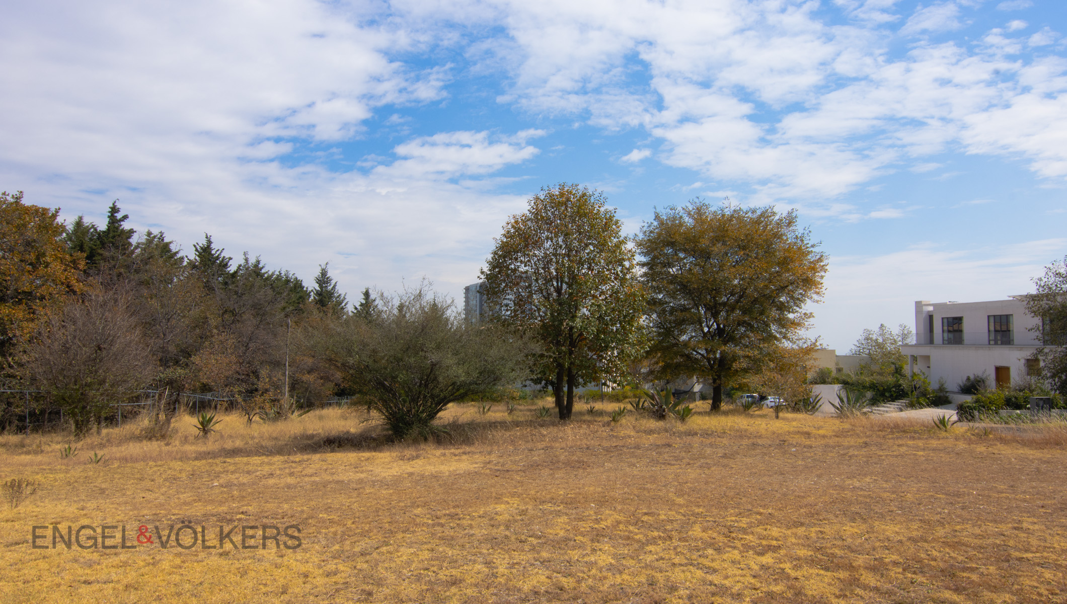 Centenario - Bosques de Tarango, San Mateo, Álvaro Obregón, 01580 Ciudad de México, CDMX, México Mexico City Mexico City