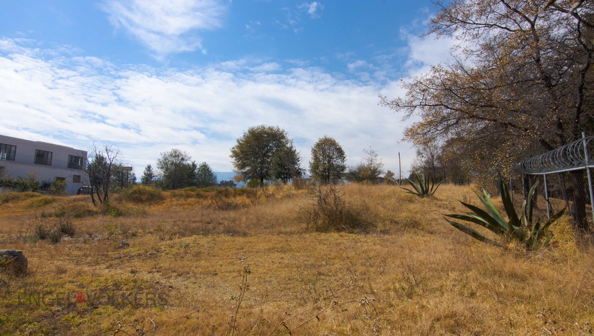 Centenario - Bosques de Tarango, San Mateo, Álvaro Obregón, 01580 Ciudad de México, CDMX, México Mexico City Mexico City
