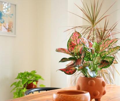 3911 C. 6a Oeste Panama City Panamá Province