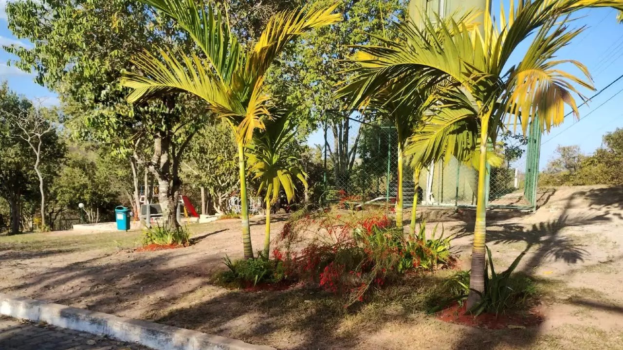  Brasilia Federal District