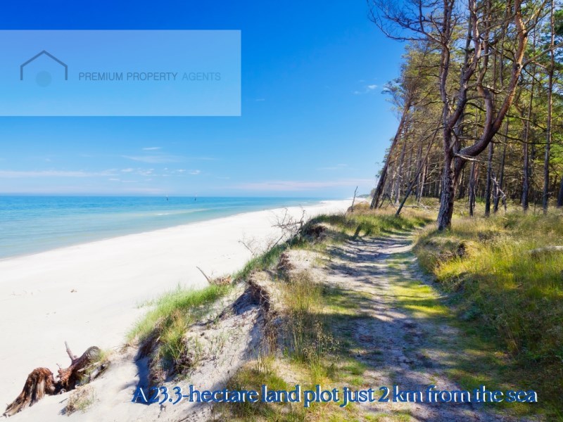  Palanga Klaipėda County