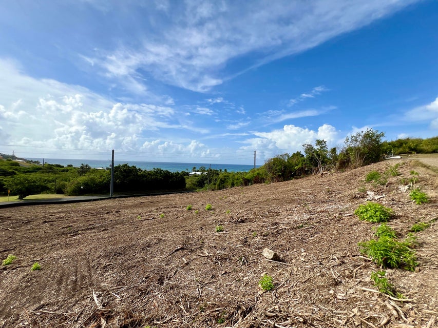 27 Rte 60 East End St. Croix