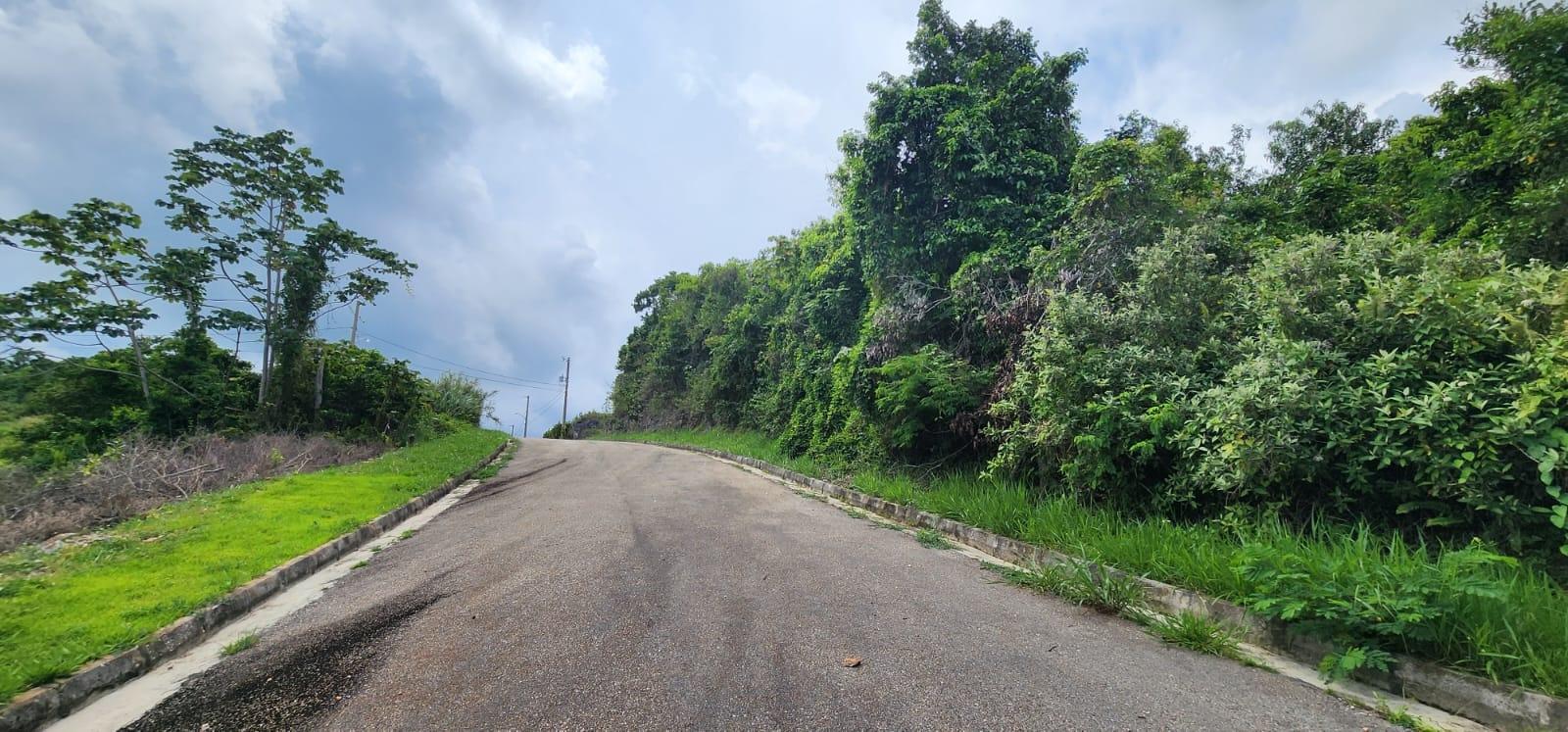 17 Manchester Road, Mandeville, Jamaica Mandeville Manchester Parish