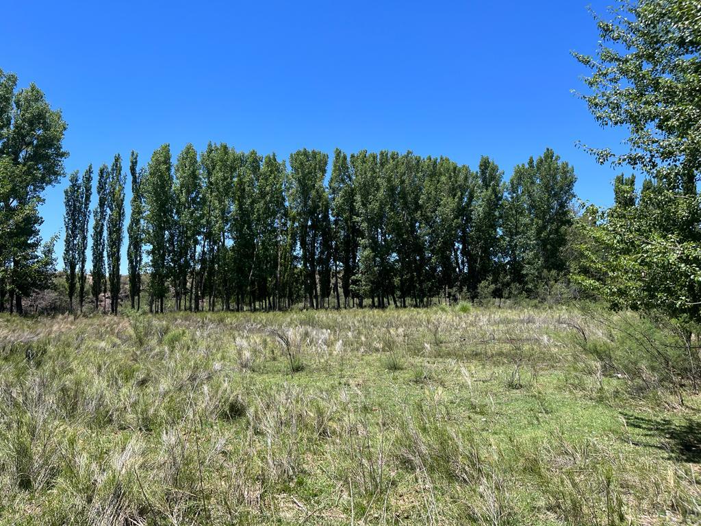 Ruta Provincial 190 San Rafael Department Mendoza Province
