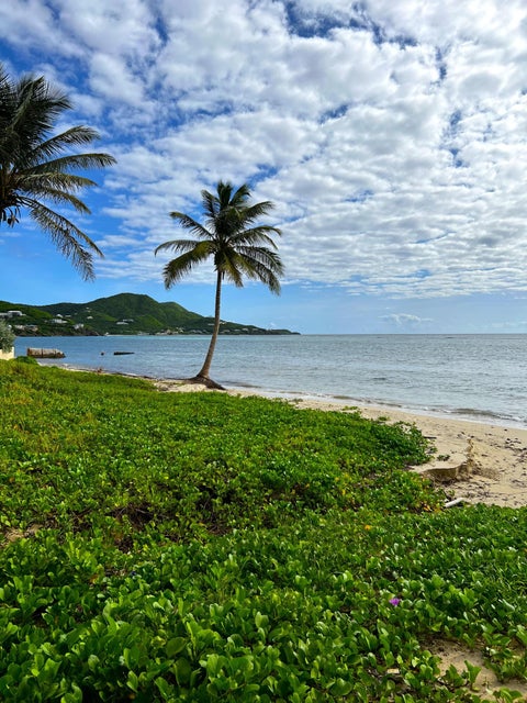 40 Turner's Hole EB East End St. Croix
