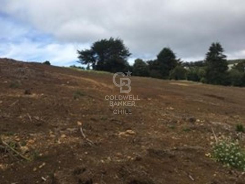 HUAIHUEN  LT- A Ancud Los Lagos