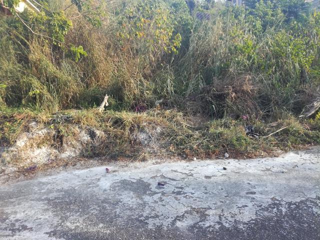 Gemstone Road St. Mary Parish St. Mary Parish