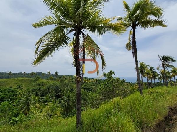 Linay Zamboanga del Norte Zamboanga Peninsula