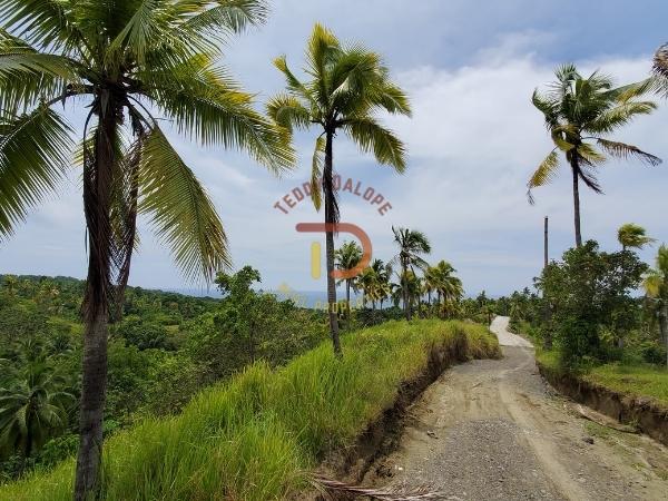 Linay Zamboanga del Norte Zamboanga Peninsula