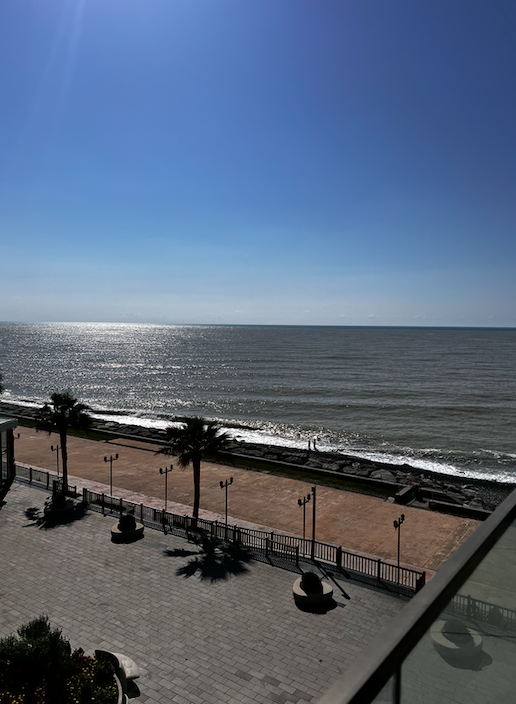 58 Lech and Maria Kaczynski St, Batumi 6000, Georgia Batumi Adjara