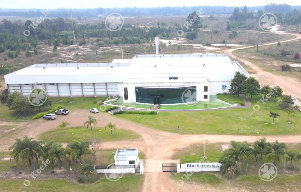 3 de Febrero Concordia Entre Rios
