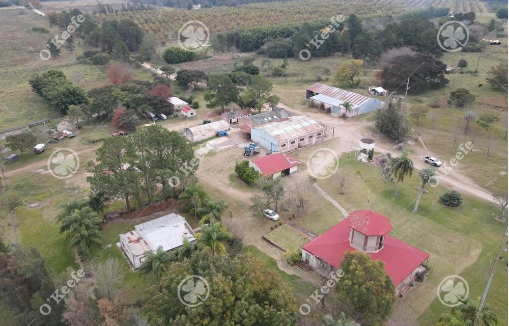 3 de Febrero Concordia Entre Rios