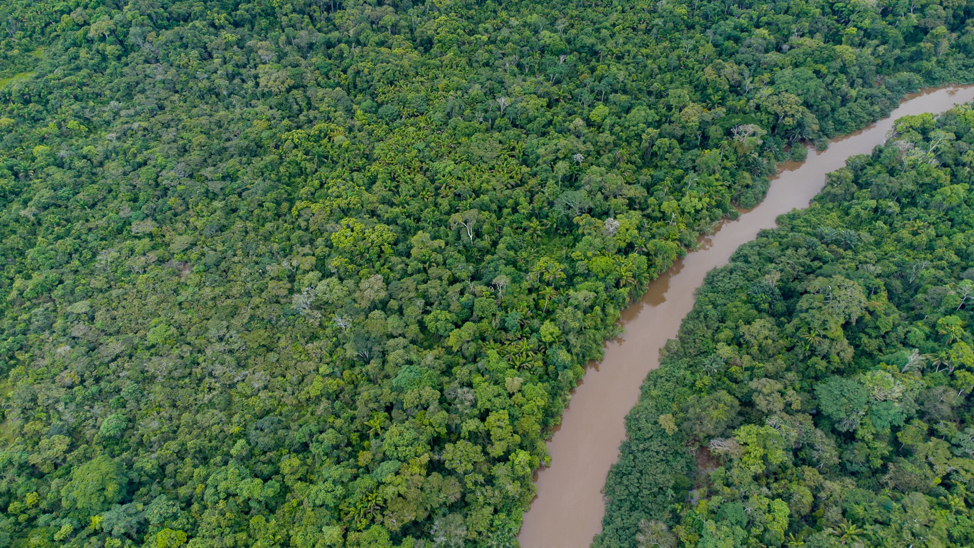 Apuí Apuí State of Amazonas