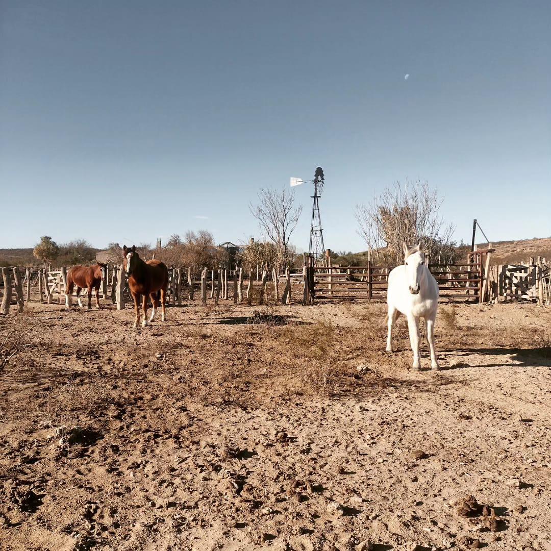 Ruta Nacional 143 Chalileo Department La Pampa
