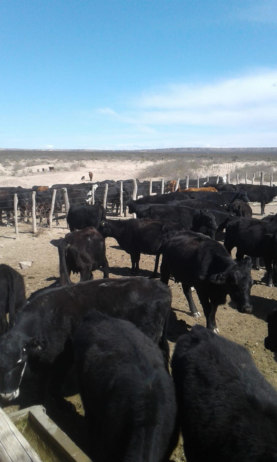 Ruta Nacional 143 Chalileo Department La Pampa