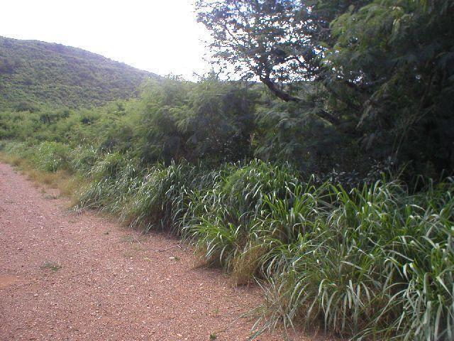 12 Yellow Cliff EB Christiansted St. Croix