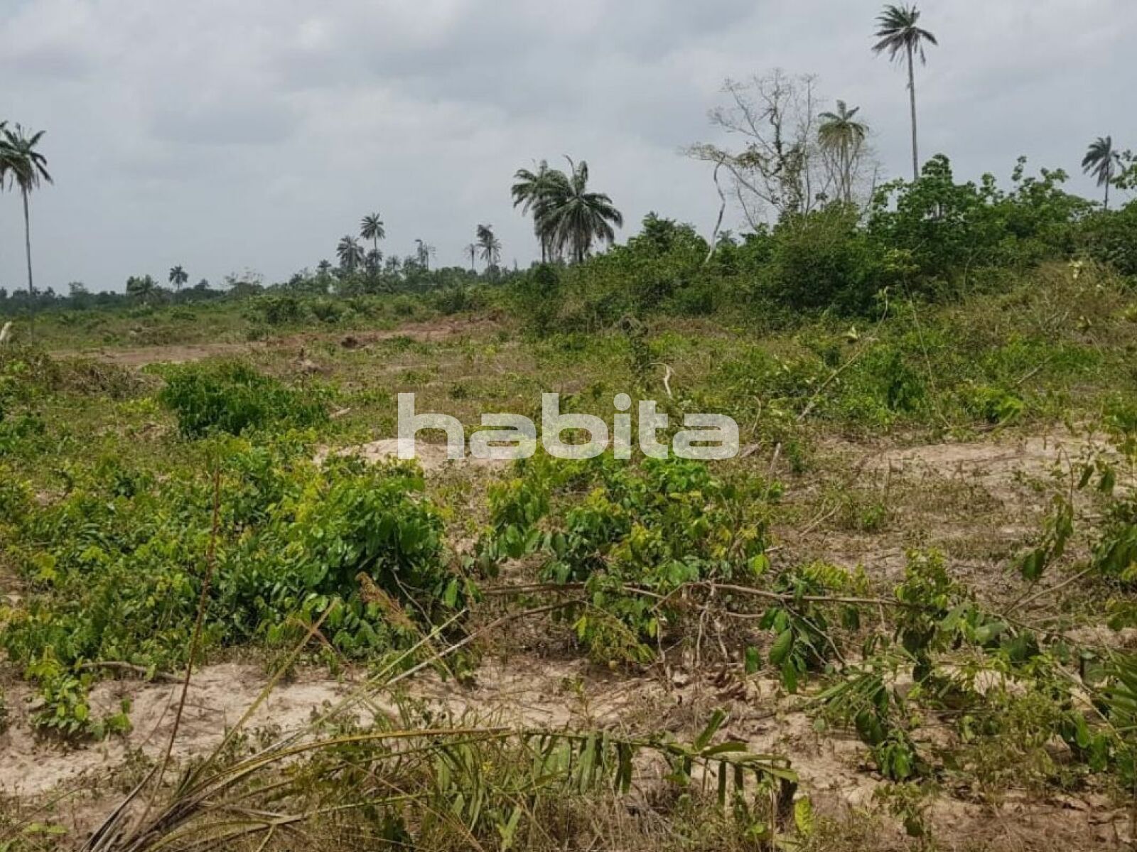 Imedu Ise, iBEJU Lekki Ibeju Lagos