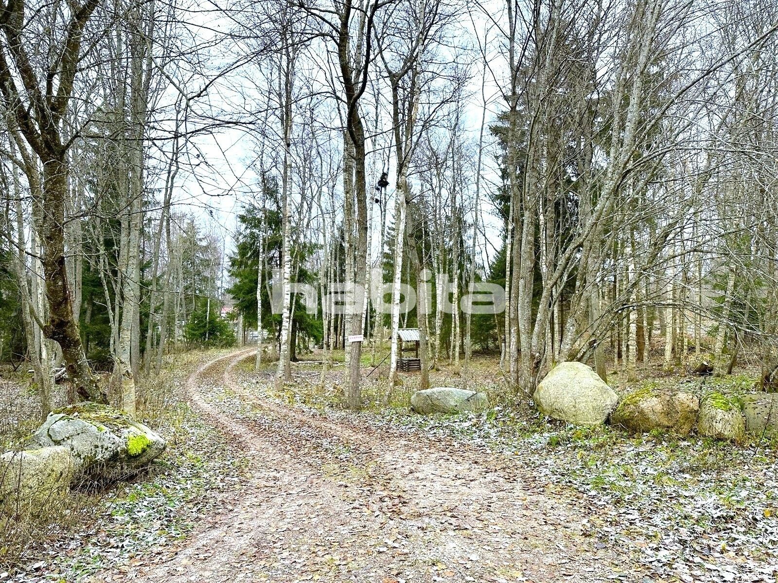 Kadaka-Nõlva, Meresiiliku tee 1 Kuusalu Parish Harju County