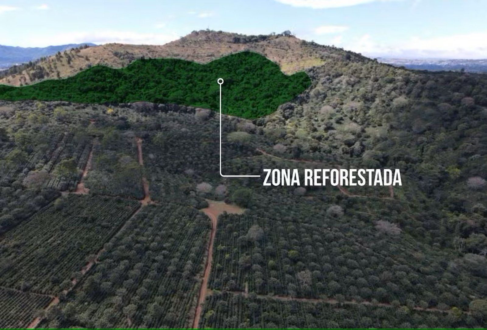 Alajuela Alajuela Alajuela Province