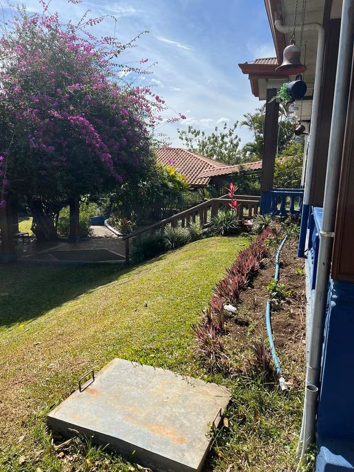 Alajuela Alajuela Alajuela Province