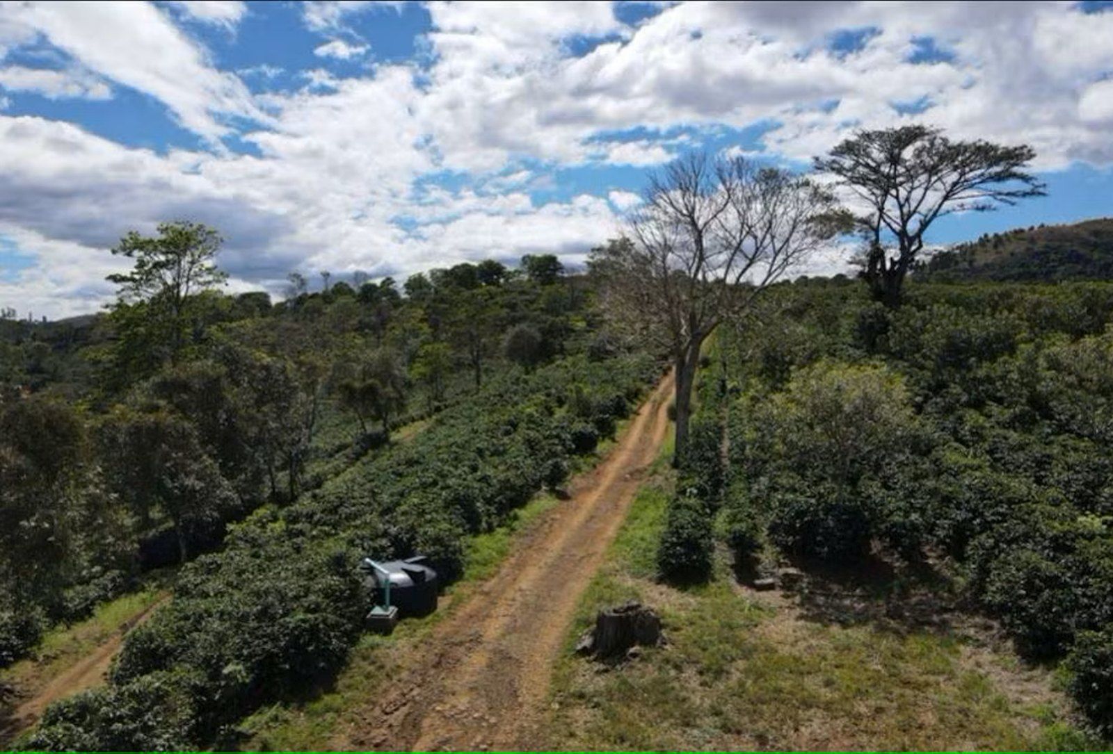 Alajuela Alajuela Alajuela Province