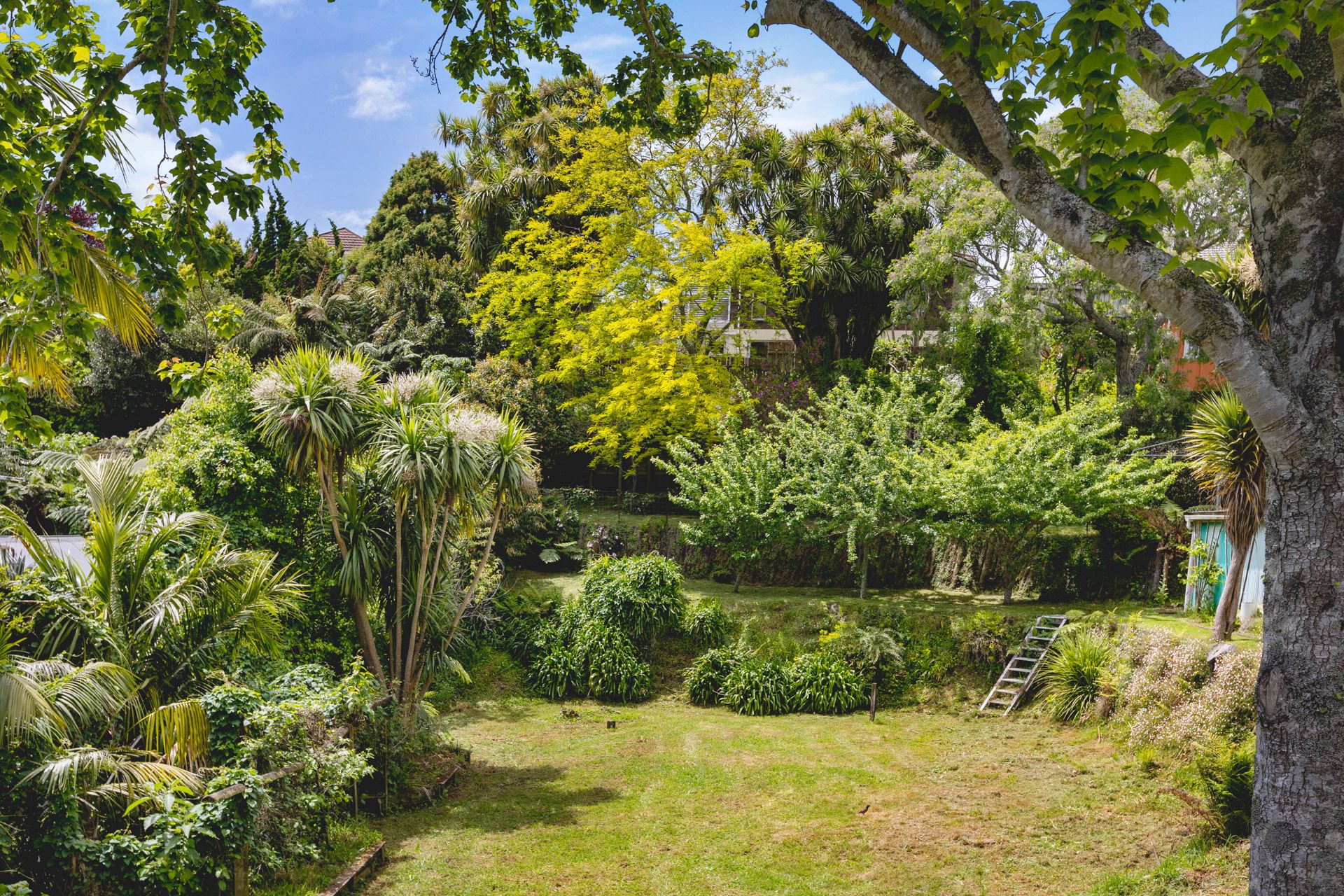 81 Mill Road New Plymouth Taranaki