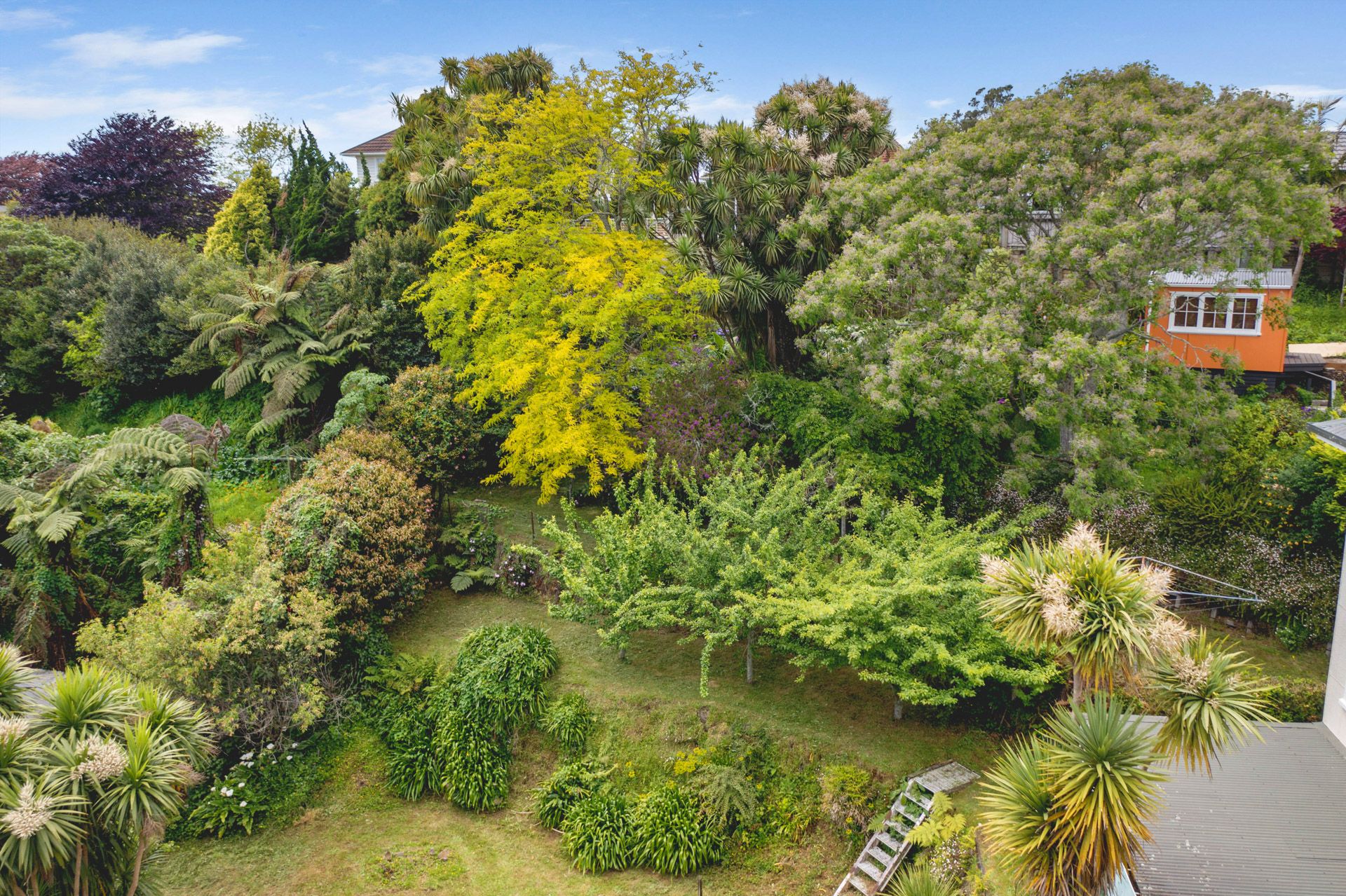 81 Mill Road New Plymouth Taranaki