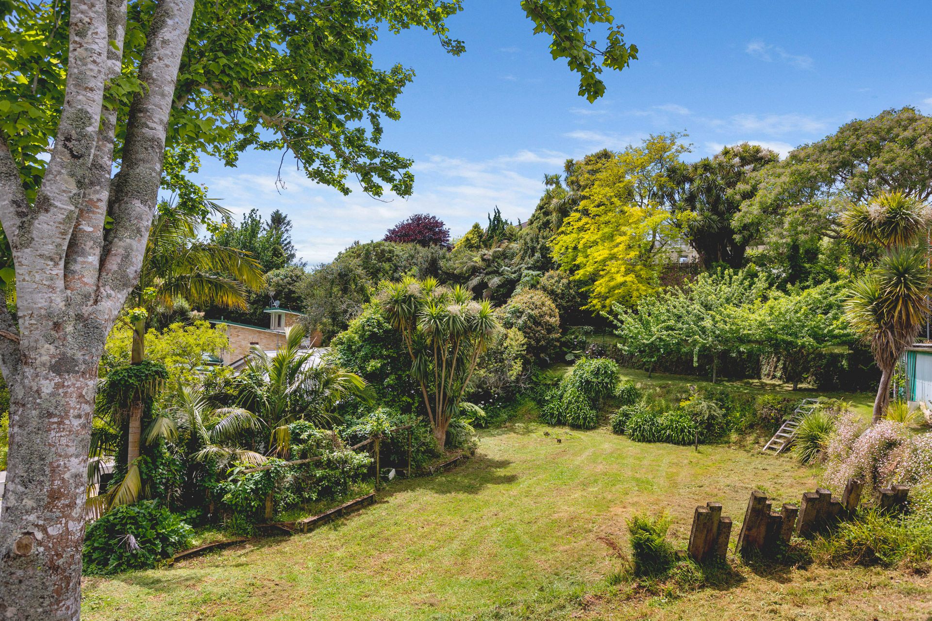 81 Mill Road New Plymouth Taranaki