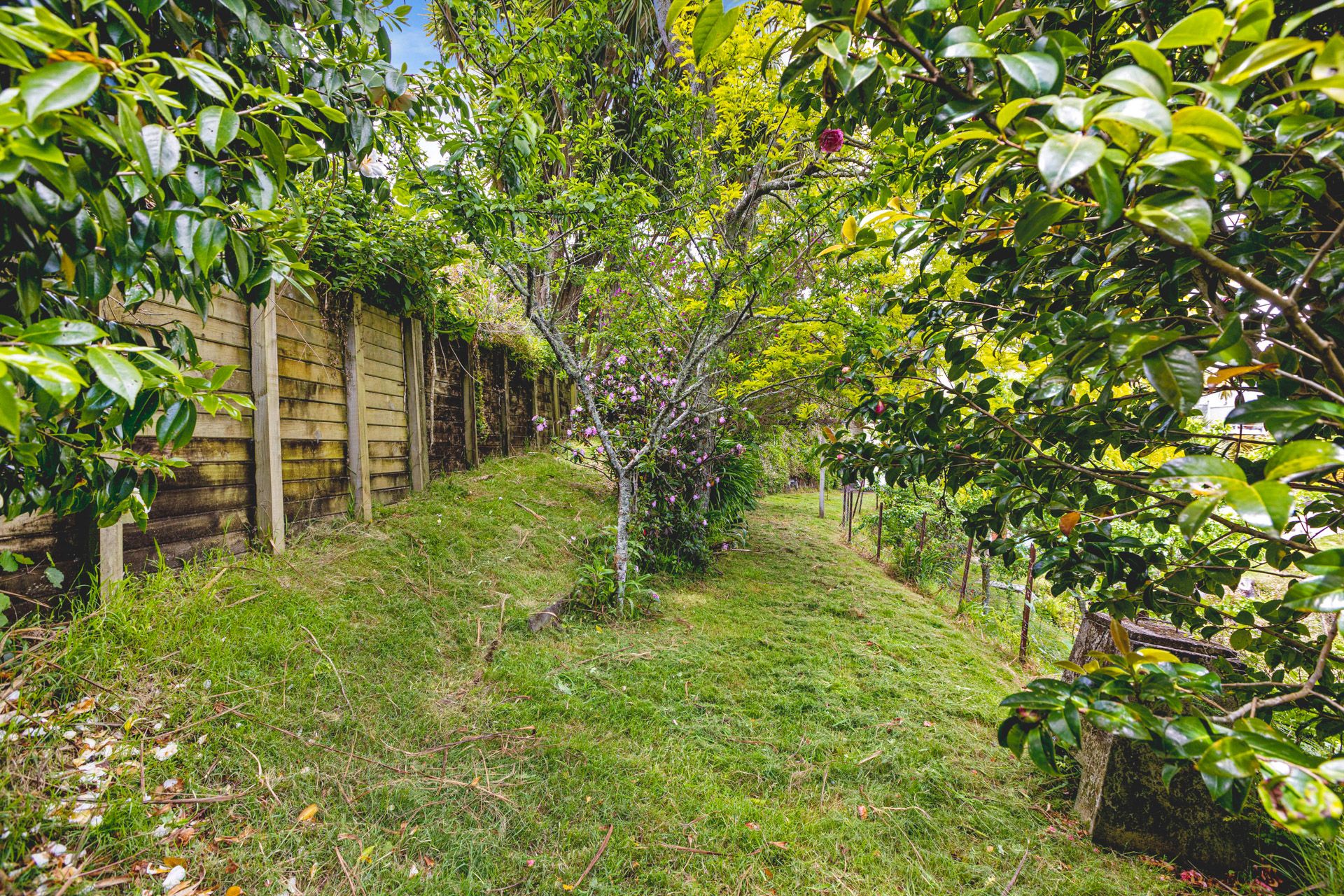 81 Mill Road New Plymouth Taranaki