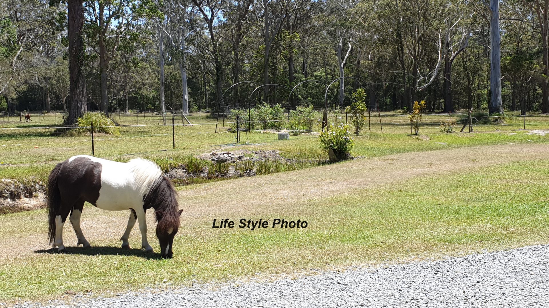55 Tiki Road Coffs Harbour New South Wales