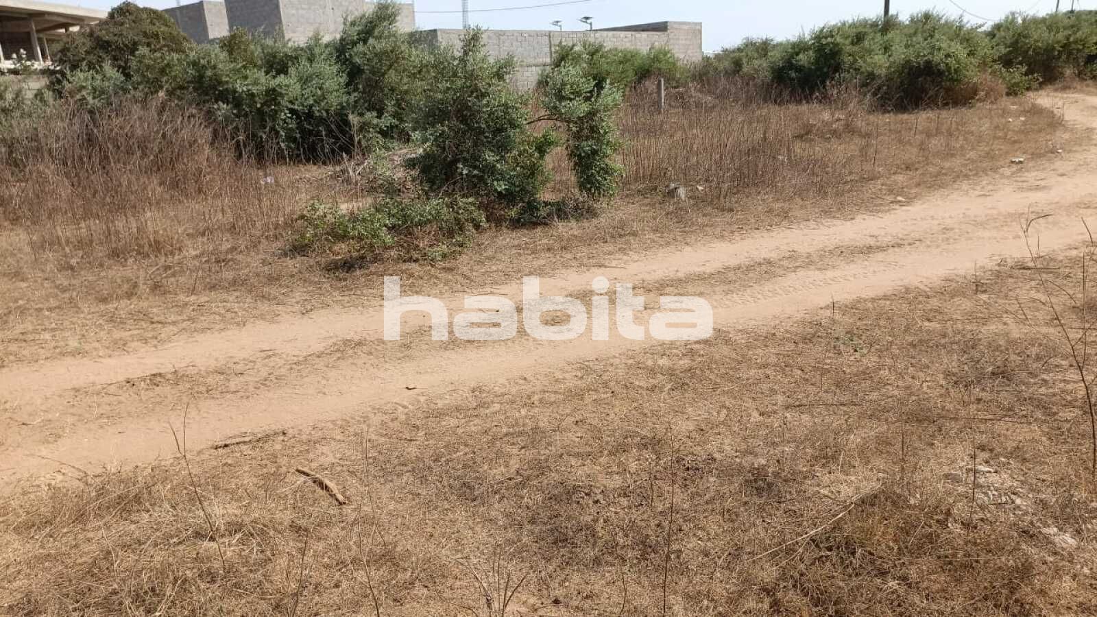 Cité milliardaire, Ngaparou Ngaparou Thiès Region