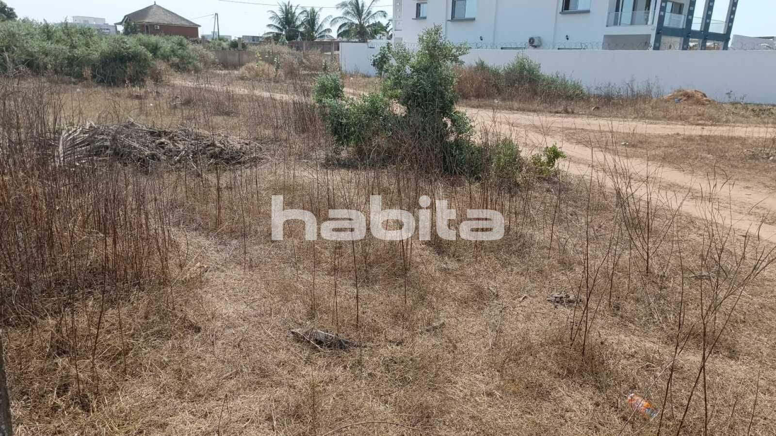 Cité milliardaire, Ngaparou Ngaparou Thiès Region
