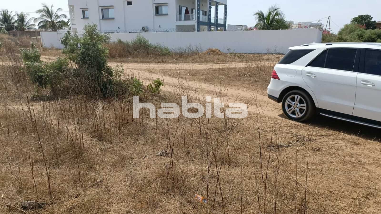 Cité milliardaire, Ngaparou Ngaparou Thiès Region