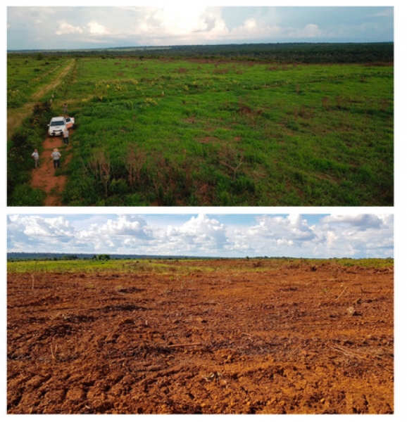 Amazonas Amazonas Brazil